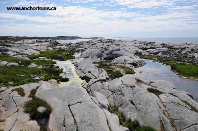 Windswept granite landscape of Peggys Cove, Nova Scotia.