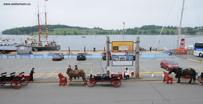 Halifax day trip to Lunenburg, Nova Scotia. Trot in Time horse carraige